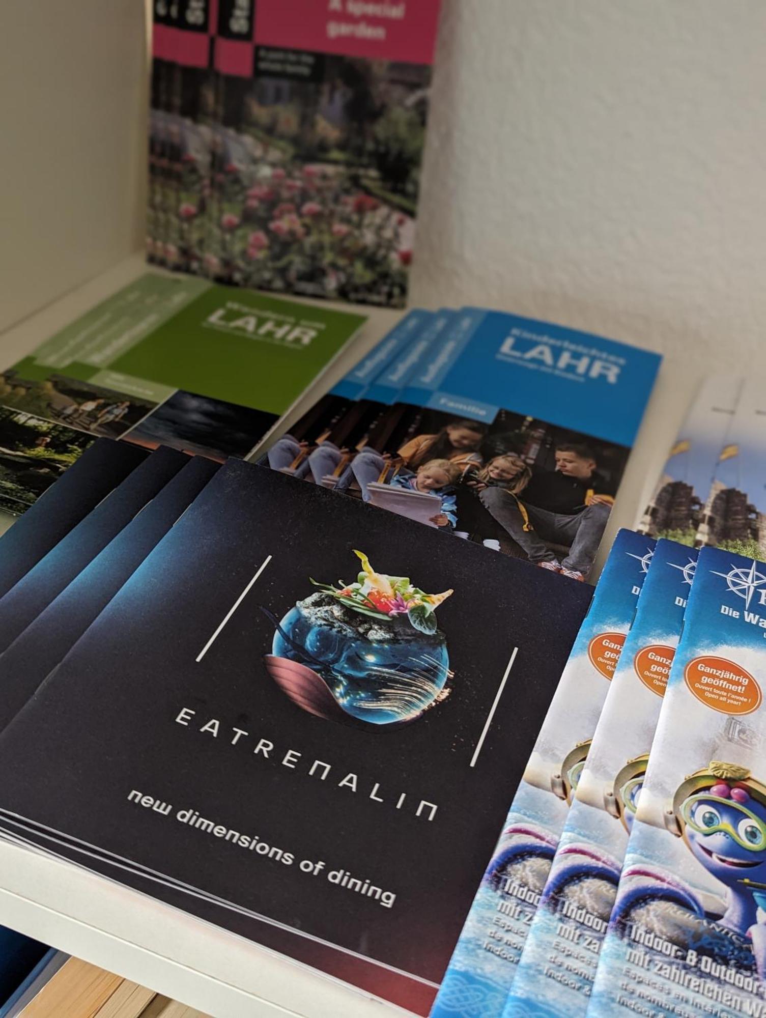 Ferienwohnung Nahe Europa Park Lahr  Zewnętrze zdjęcie